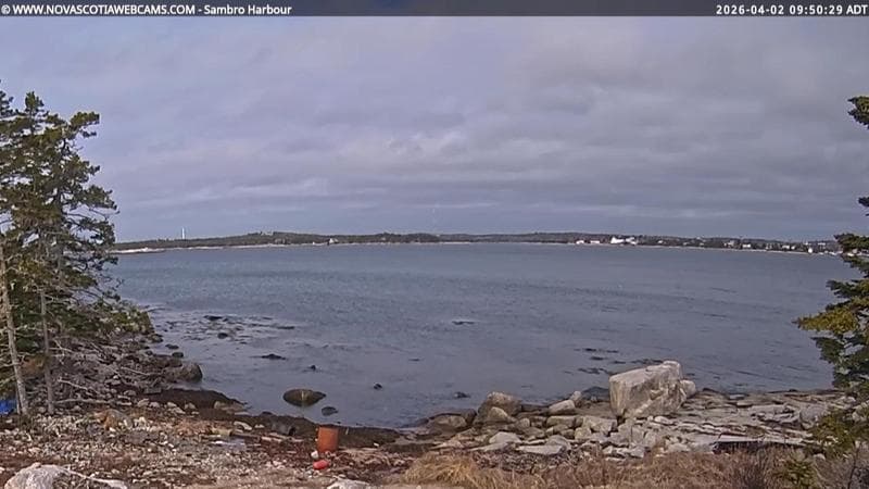 Sambro Harbour
