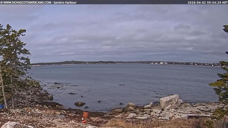Sambro Harbour