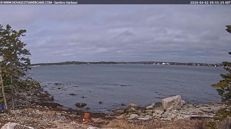 Sambro Harbour