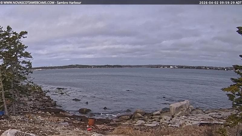 Sambro Harbour