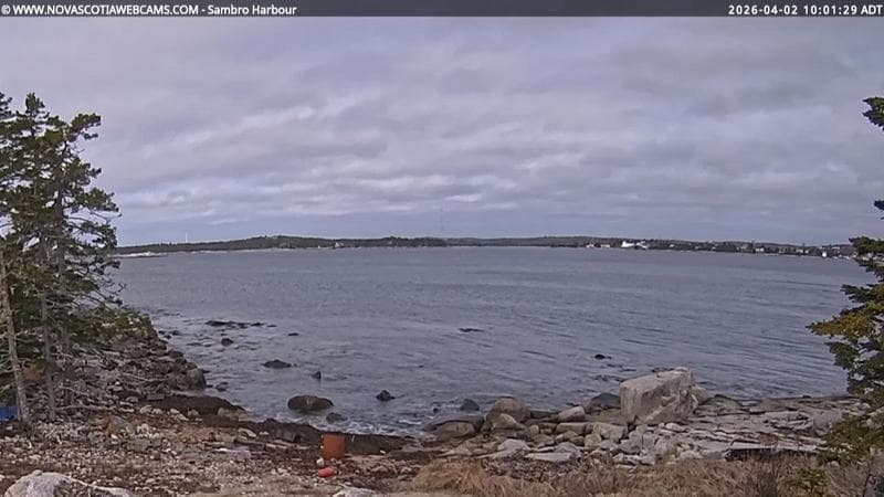 Sambro Harbour