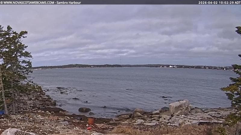 Sambro Harbour