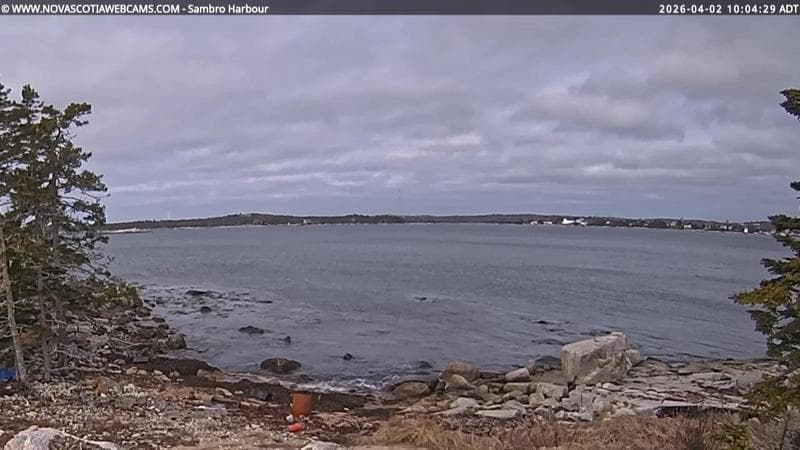 Sambro Harbour
