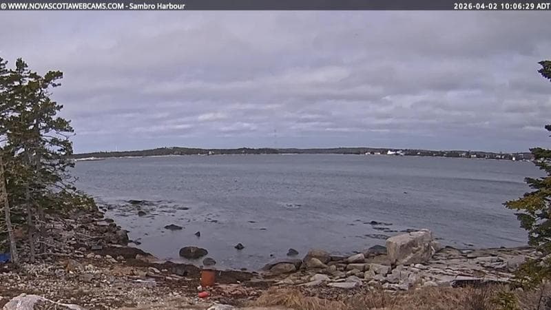 Sambro Harbour