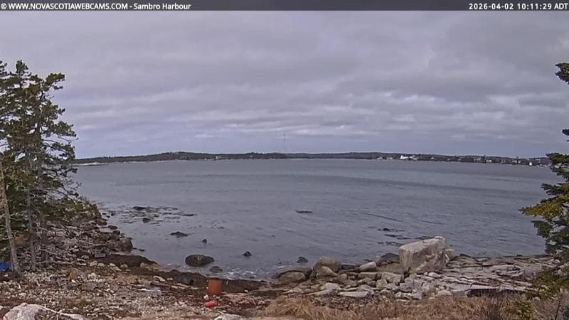 Sambro Harbour