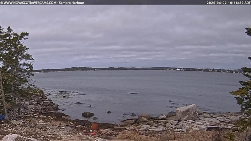 Sambro Harbour