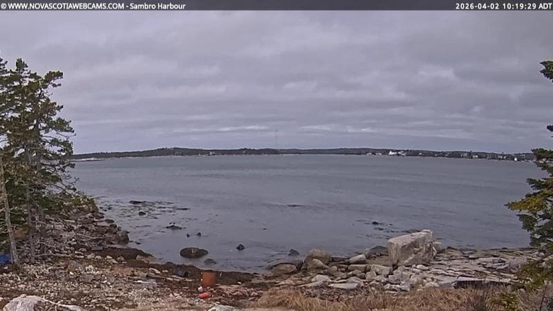 Sambro Harbour