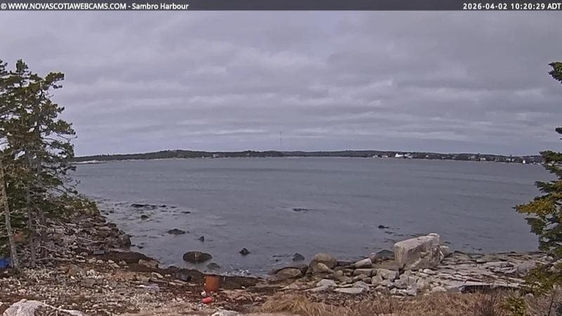 Sambro Harbour