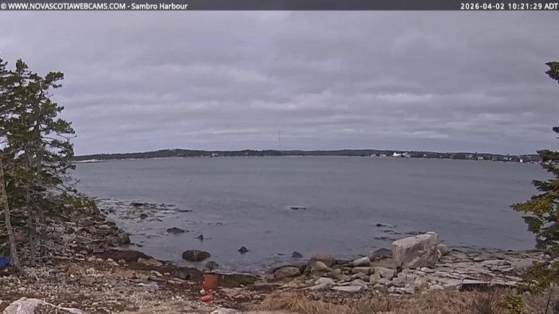 Sambro Harbour