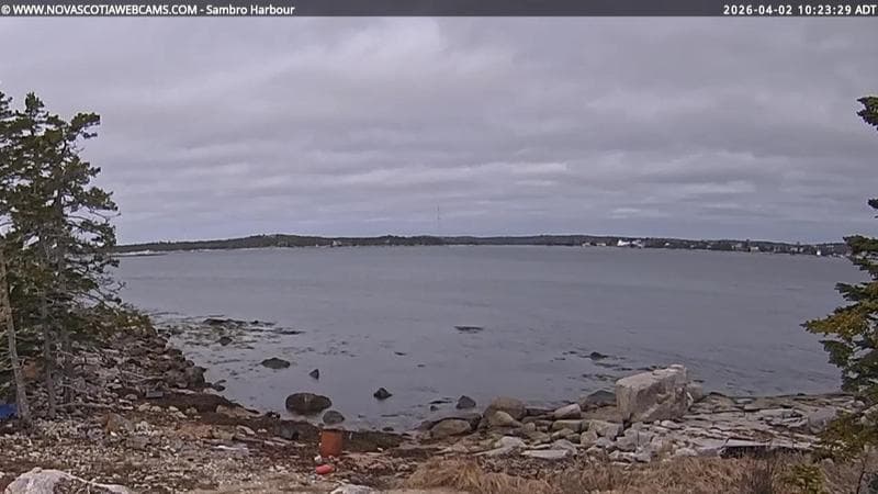 Sambro Harbour