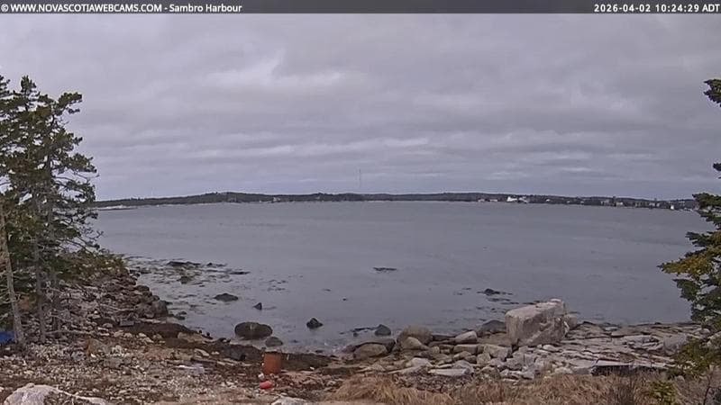 Sambro Harbour