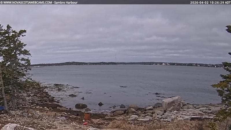 Sambro Harbour