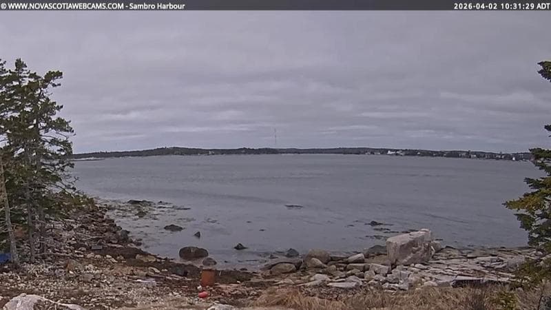 Sambro Harbour