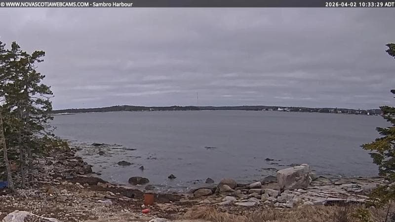 Sambro Harbour