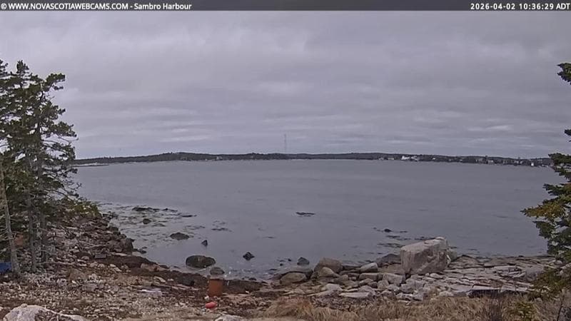 Sambro Harbour
