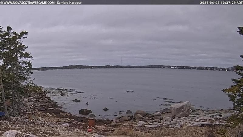 Sambro Harbour