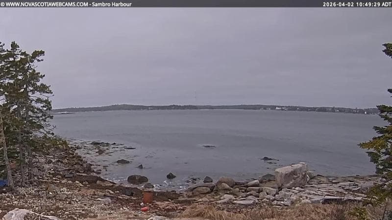 Sambro Harbour