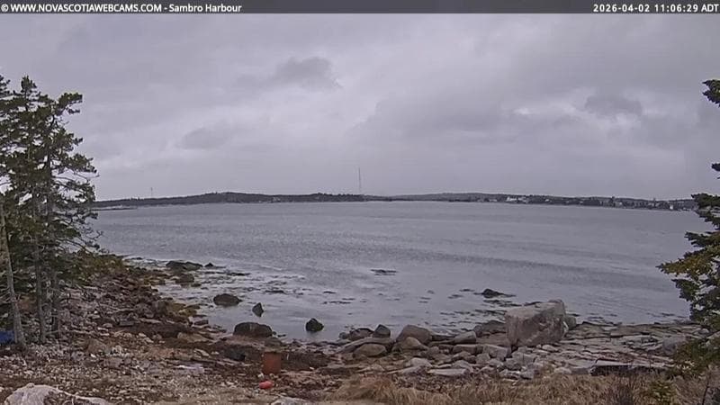 Sambro Harbour
