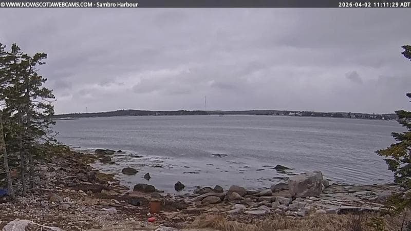 Sambro Harbour