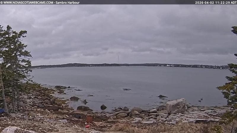 Sambro Harbour
