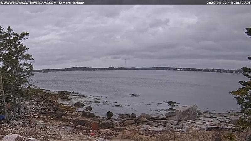 Sambro Harbour