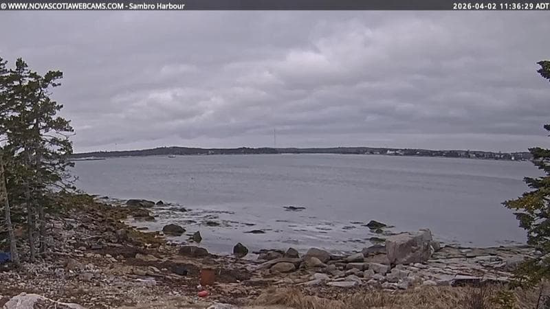 Sambro Harbour