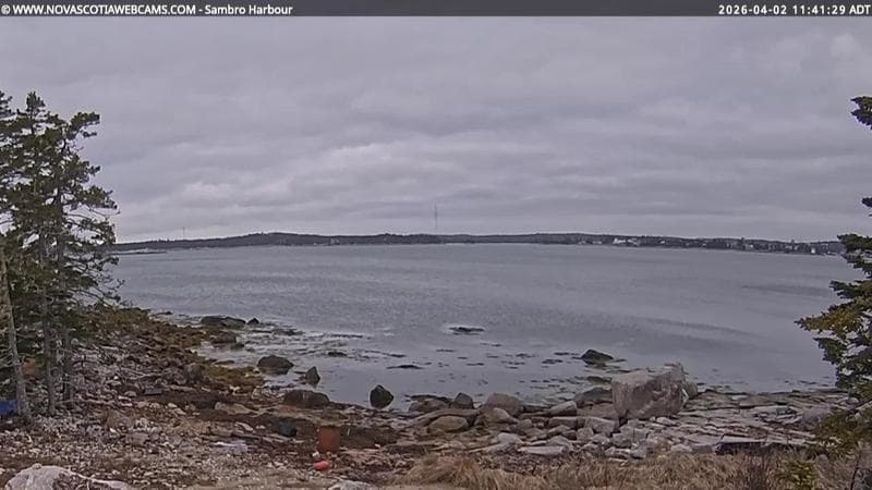 Sambro Harbour