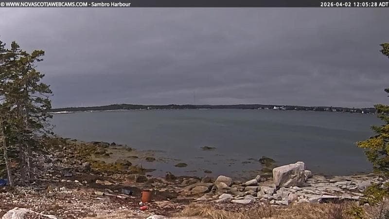 Sambro Harbour
