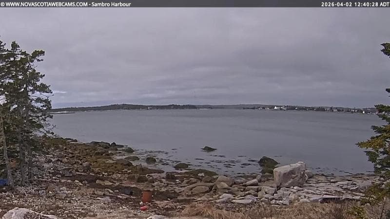 Sambro Harbour