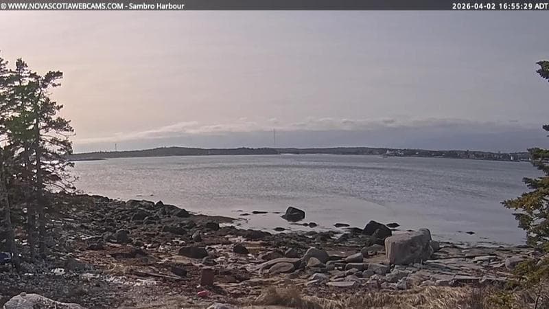 Sambro Harbour