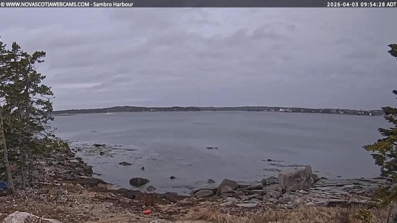 Sambro Harbour
