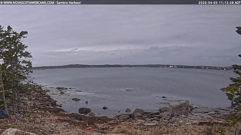 Sambro Harbour