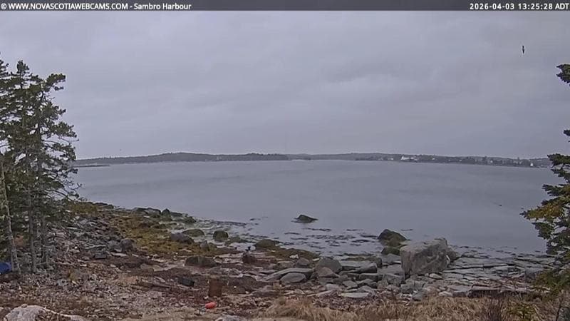 Sambro Harbour