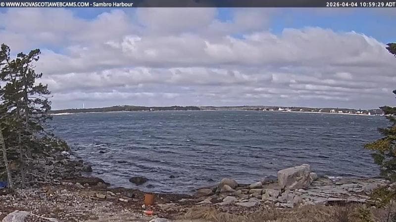 Sambro Harbour