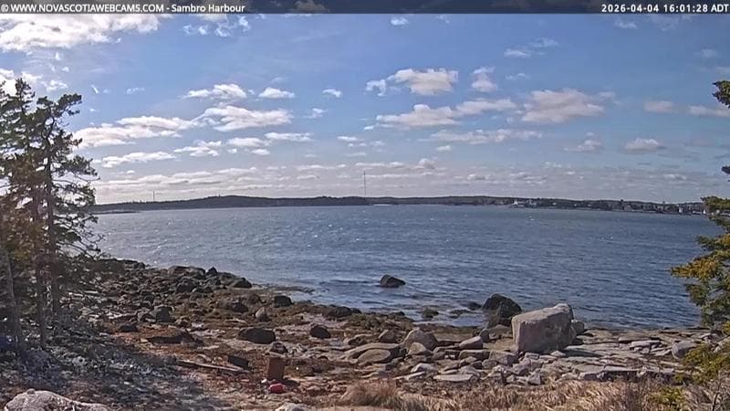 Sambro Harbour