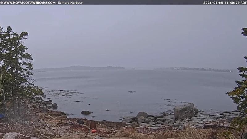 Sambro Harbour