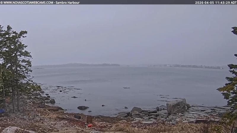 Sambro Harbour