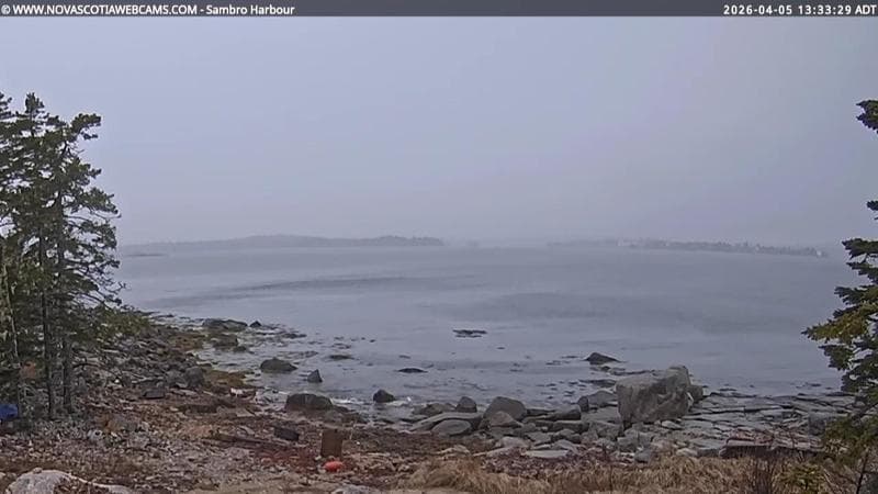 Sambro Harbour