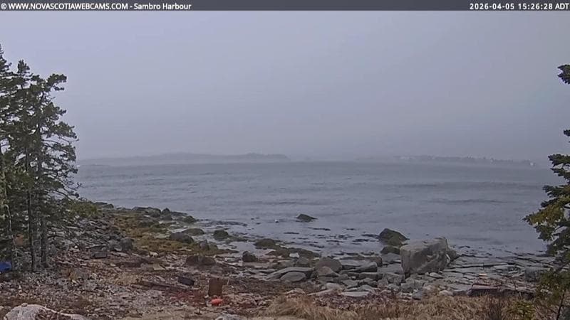 Sambro Harbour