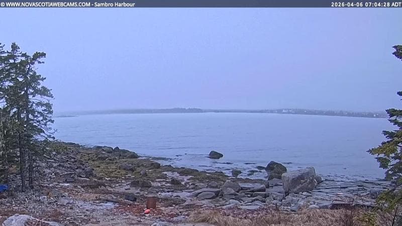 Sambro Harbour