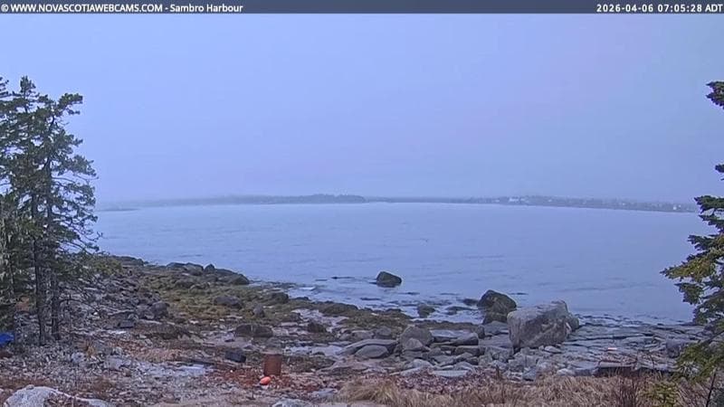 Sambro Harbour