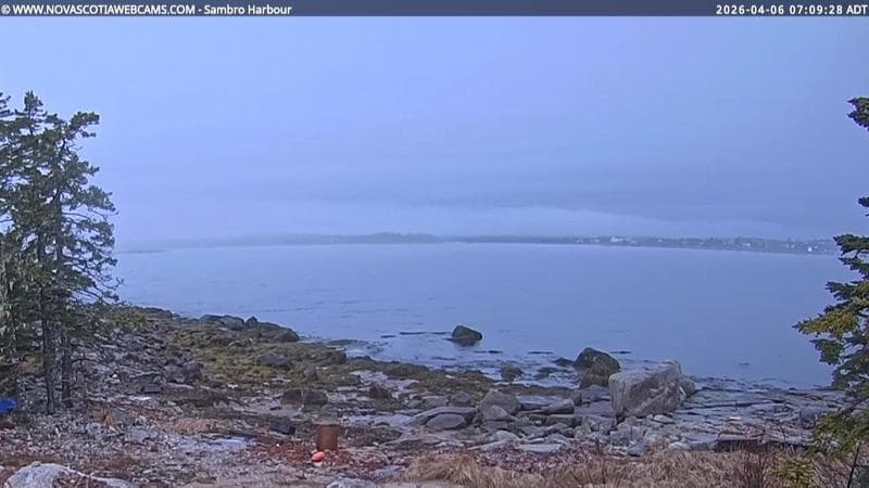 Sambro Harbour