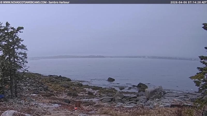 Sambro Harbour
