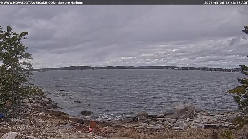 Sambro Harbour