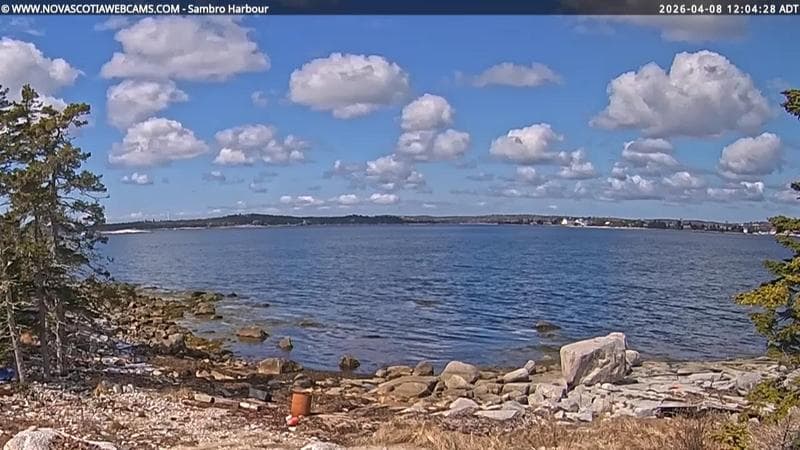 Sambro Harbour