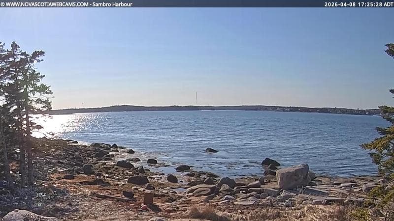 Sambro Harbour