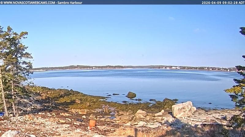 Sambro Harbour