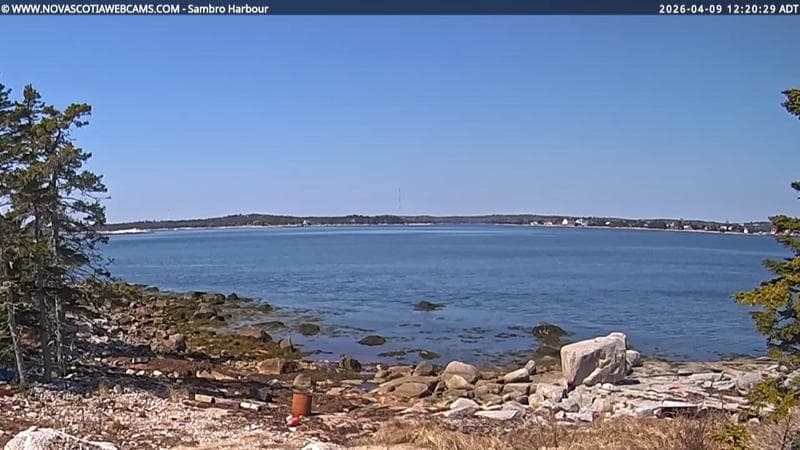 Sambro Harbour