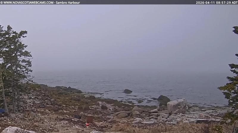 Sambro Harbour