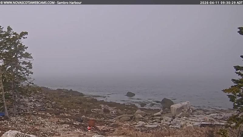 Sambro Harbour